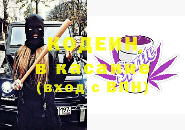 молекула духа Пестово