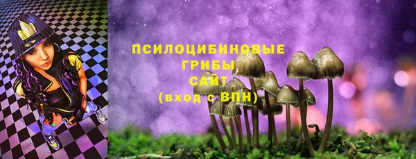 бошки Покачи