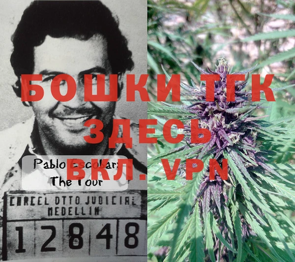бошки Покачи