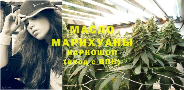 молекула духа Пестово