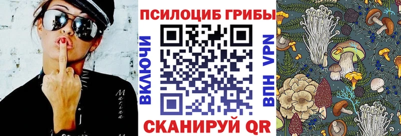 Купить Енисейск Галлюциногенные грибы GOLDEN TEACHER